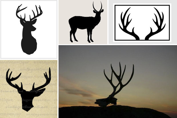 antlers_inspiration
