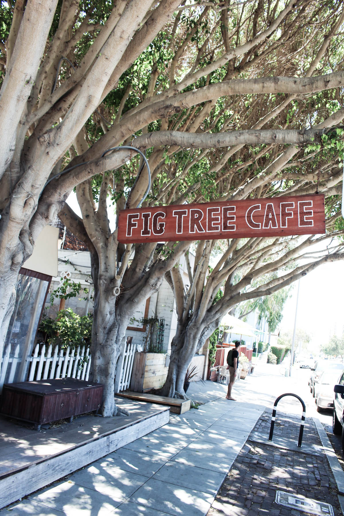 best San Diego brunch Fig Tree Cafe in Pacific Beach