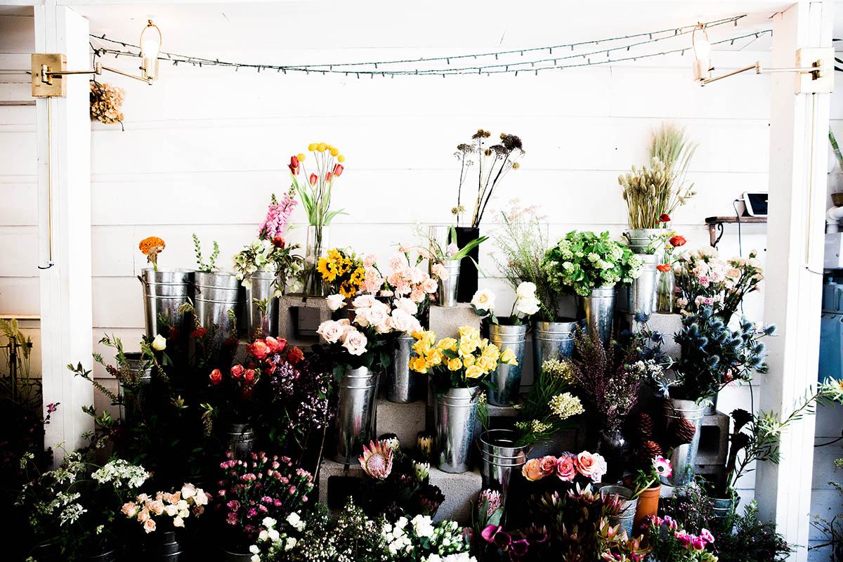 san francisco flower shops ampersand