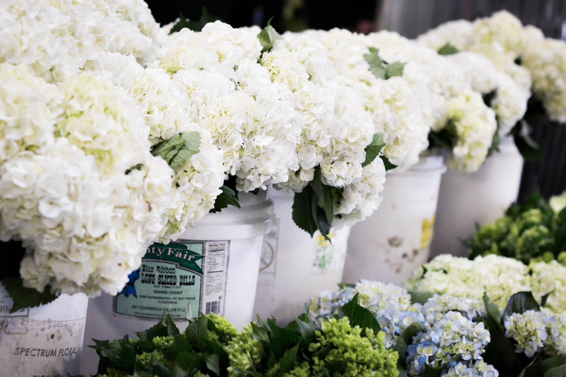 san francisco flower shops