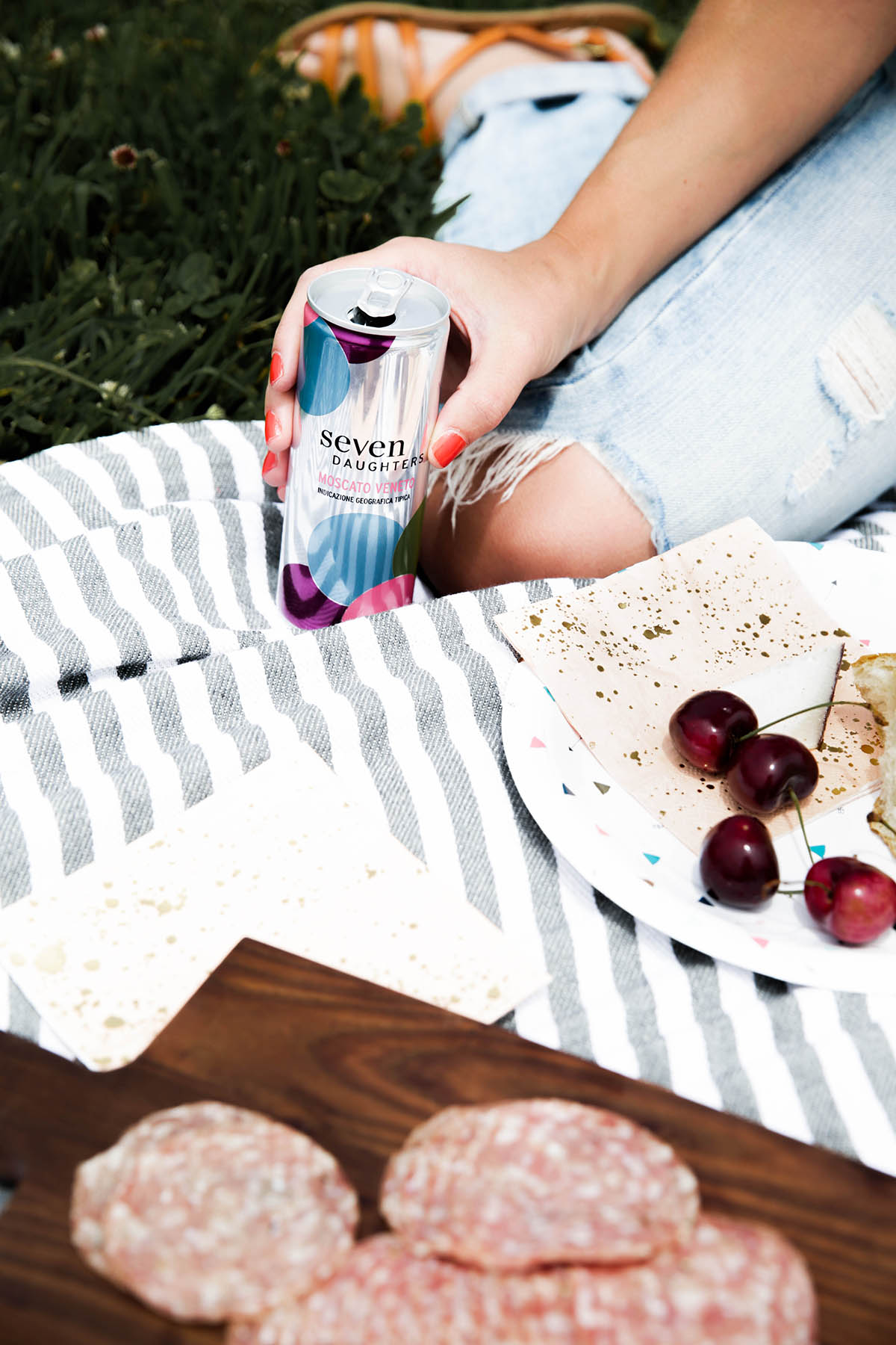 summer picnic with striped blanket, Seven Daughters wine, cheese, and bread