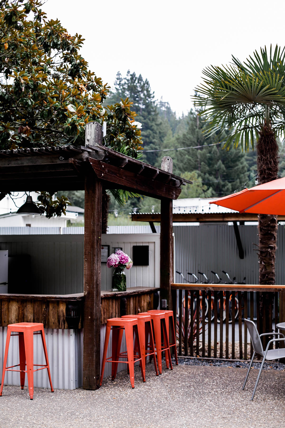 pool bar at boon hotel + spa guerneville