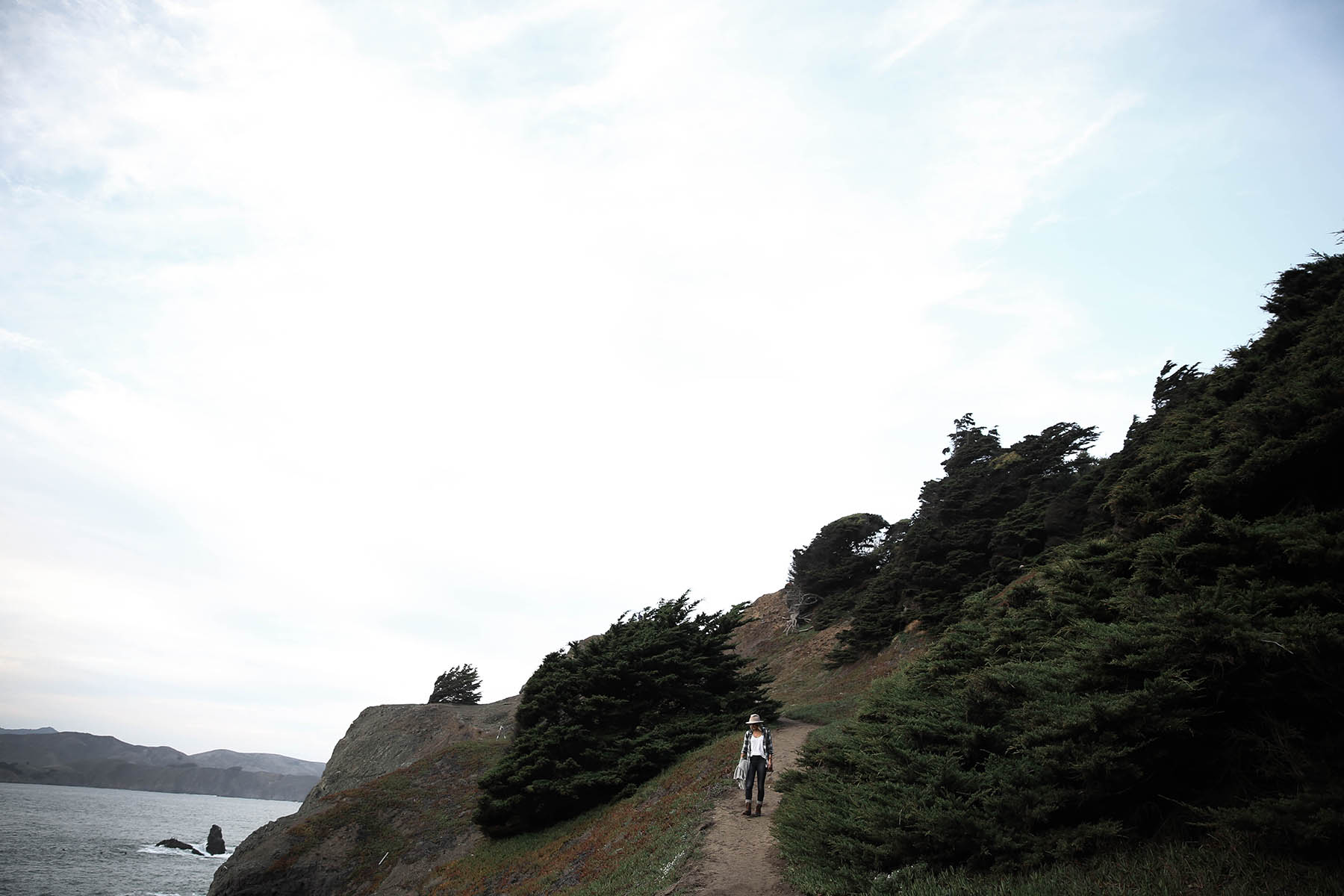 Best San Francisco Hikes (That Are Also Dog Friendly)