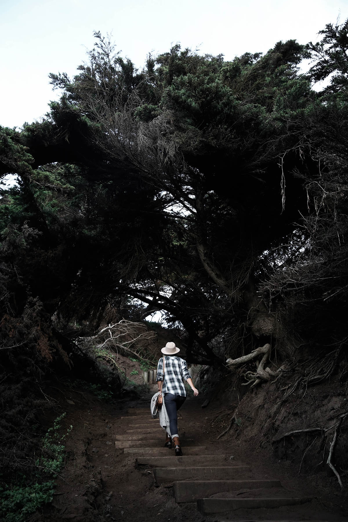 san francisco hikes land's end