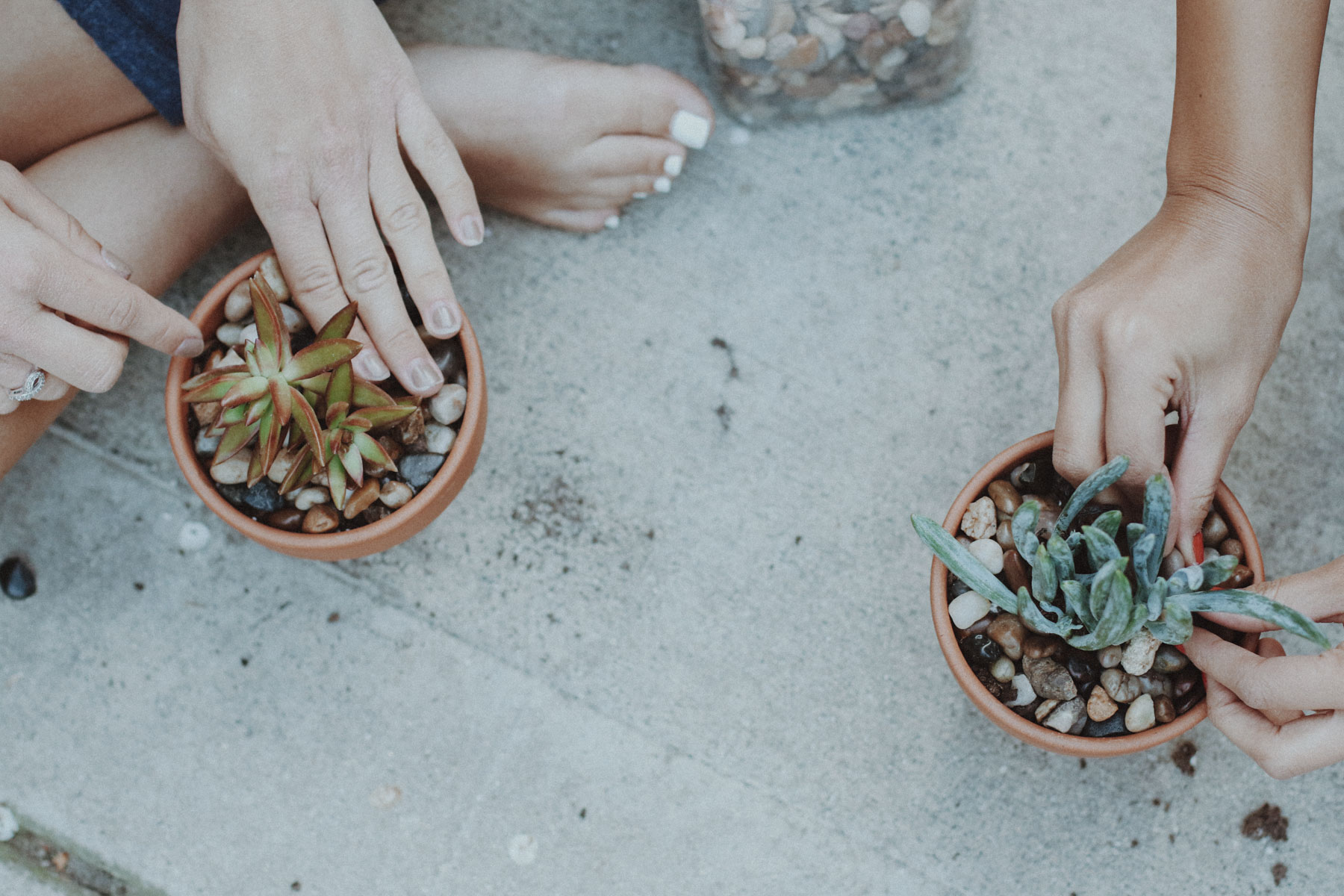 DIY succulent pots