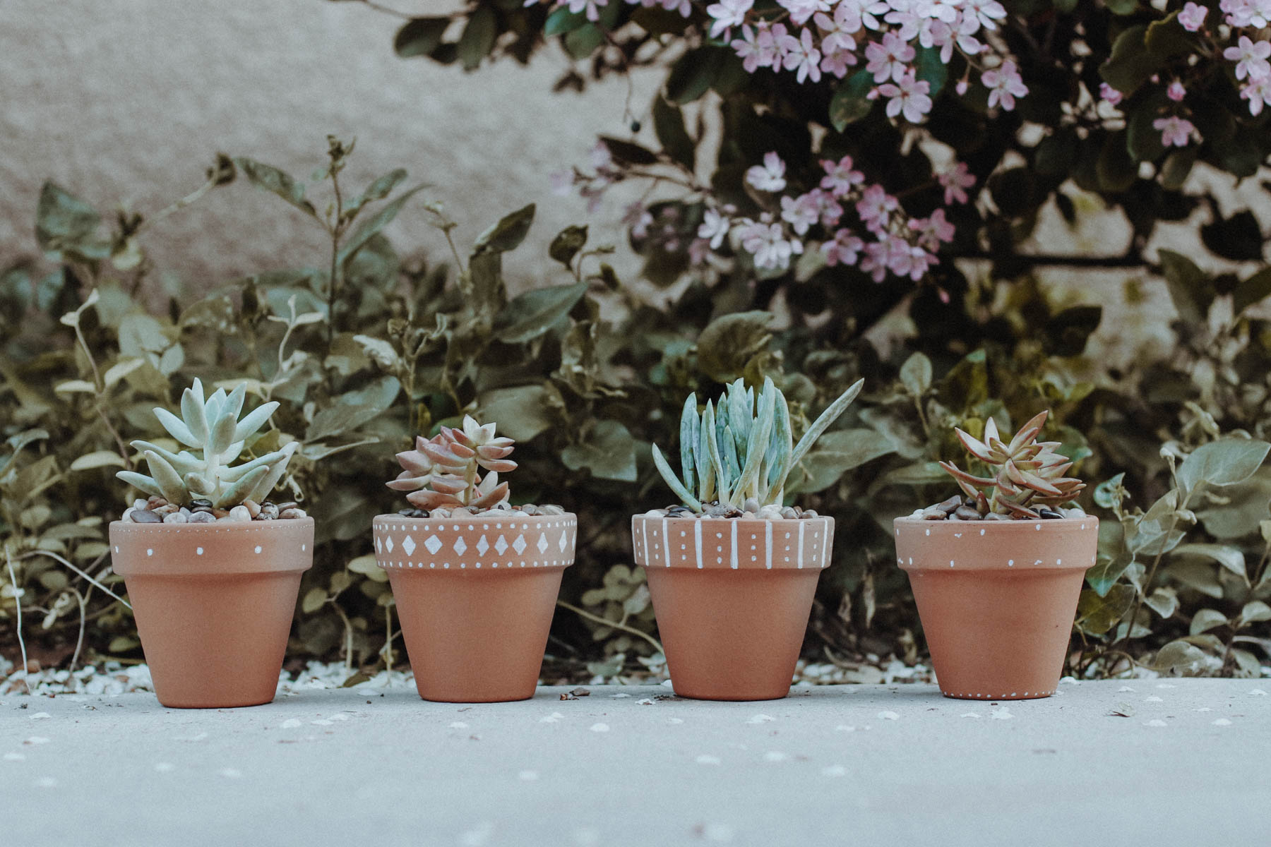 DIY succulent pots