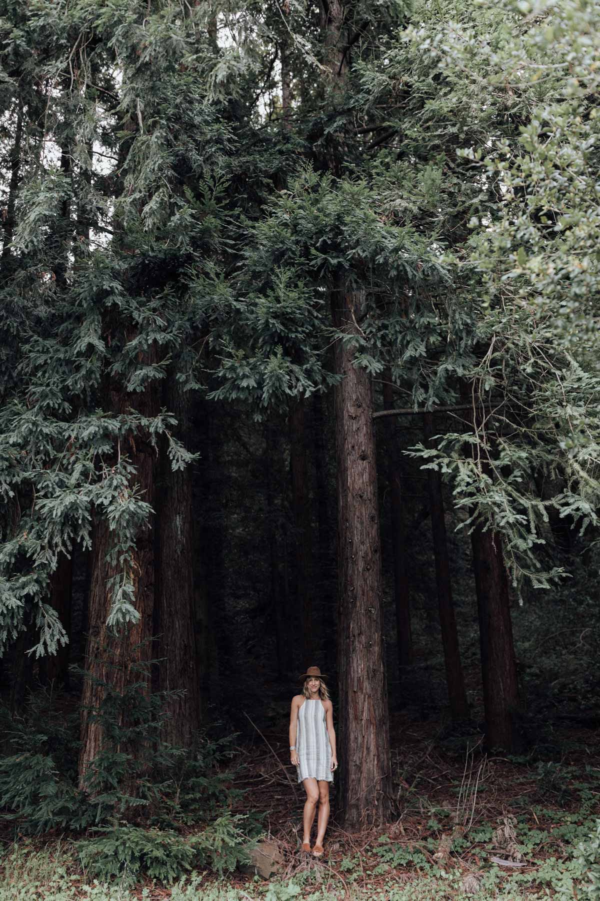 anthropologie spring dress