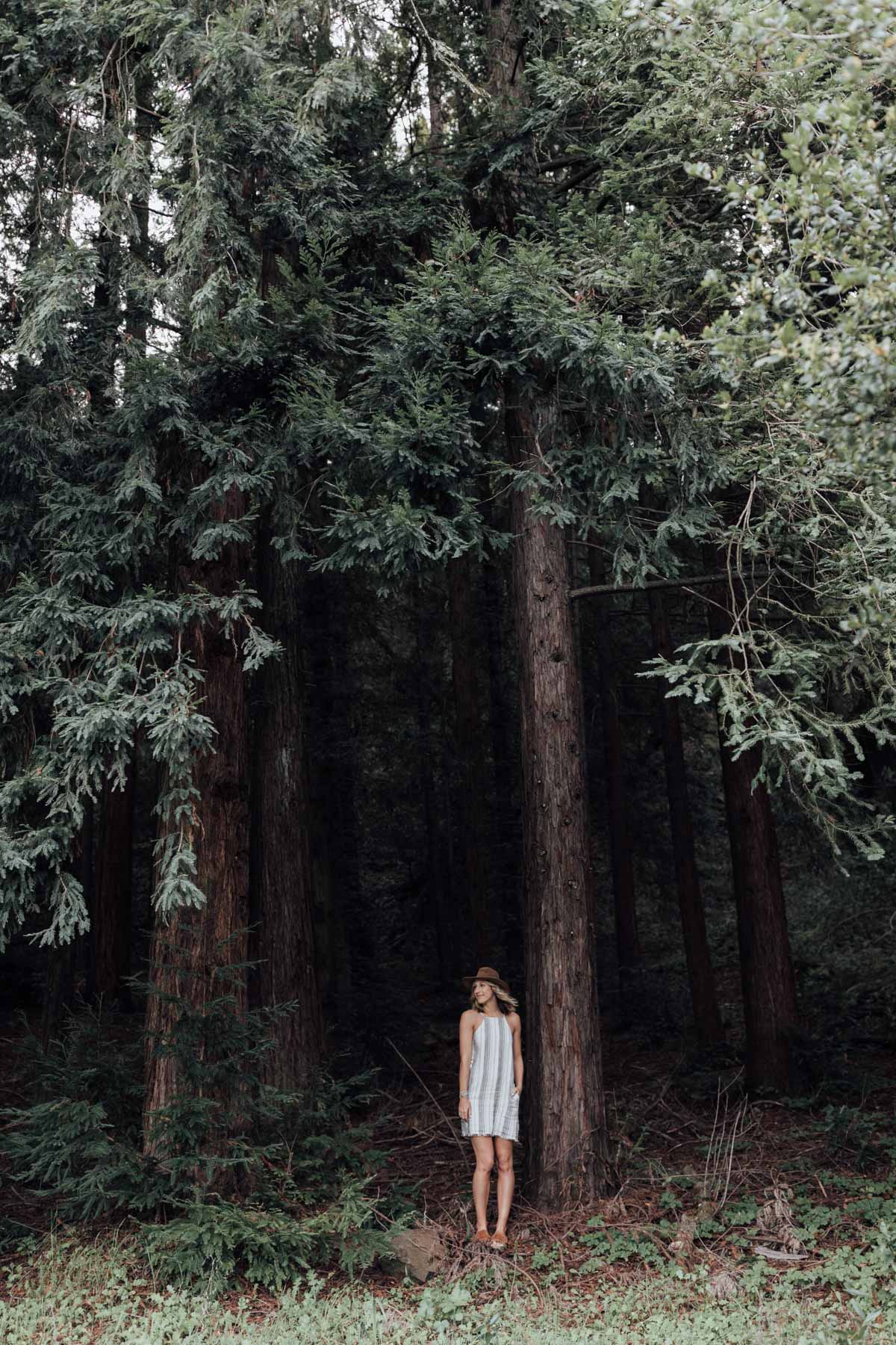 anthropologie spring dress