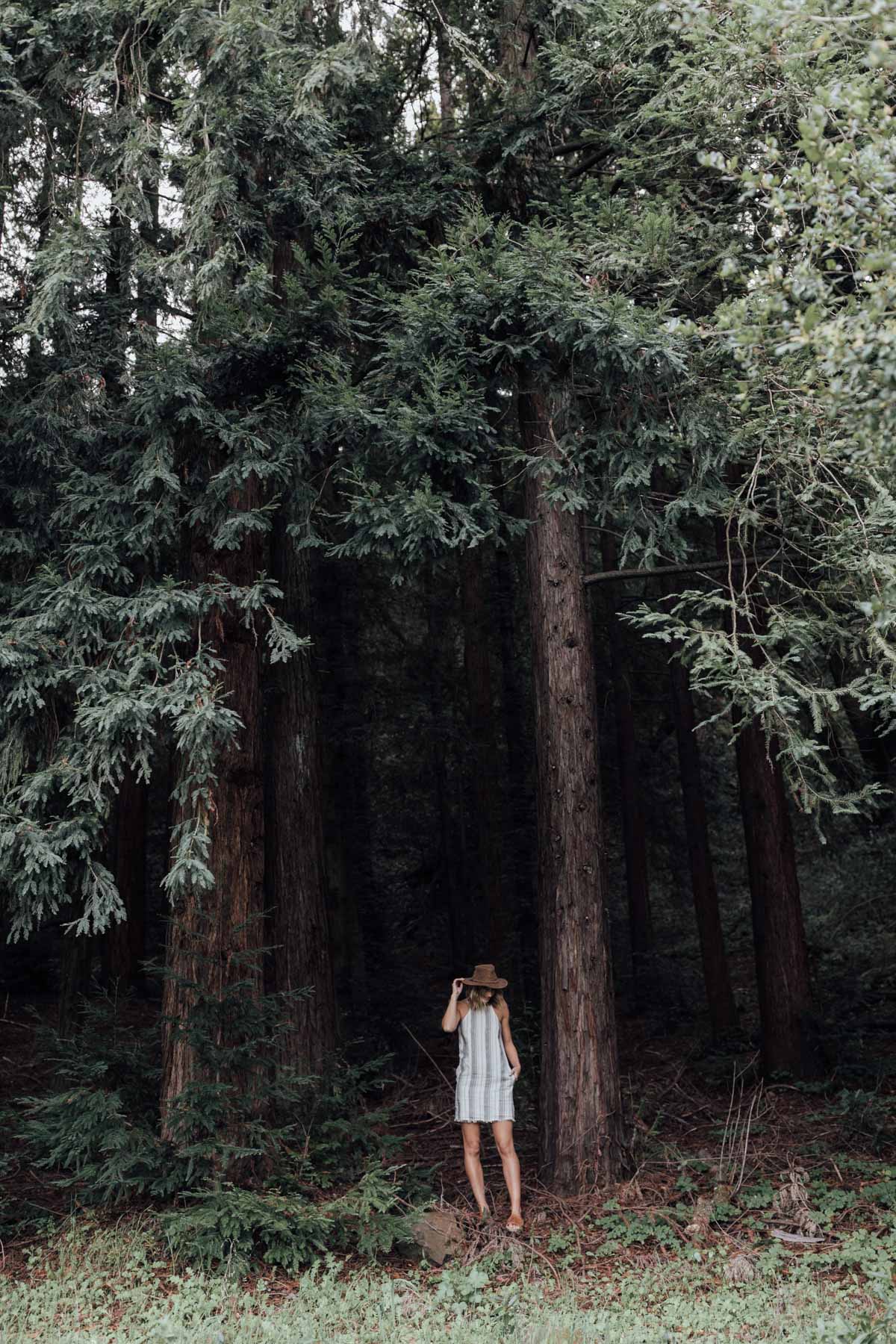 anthropologie spring dress