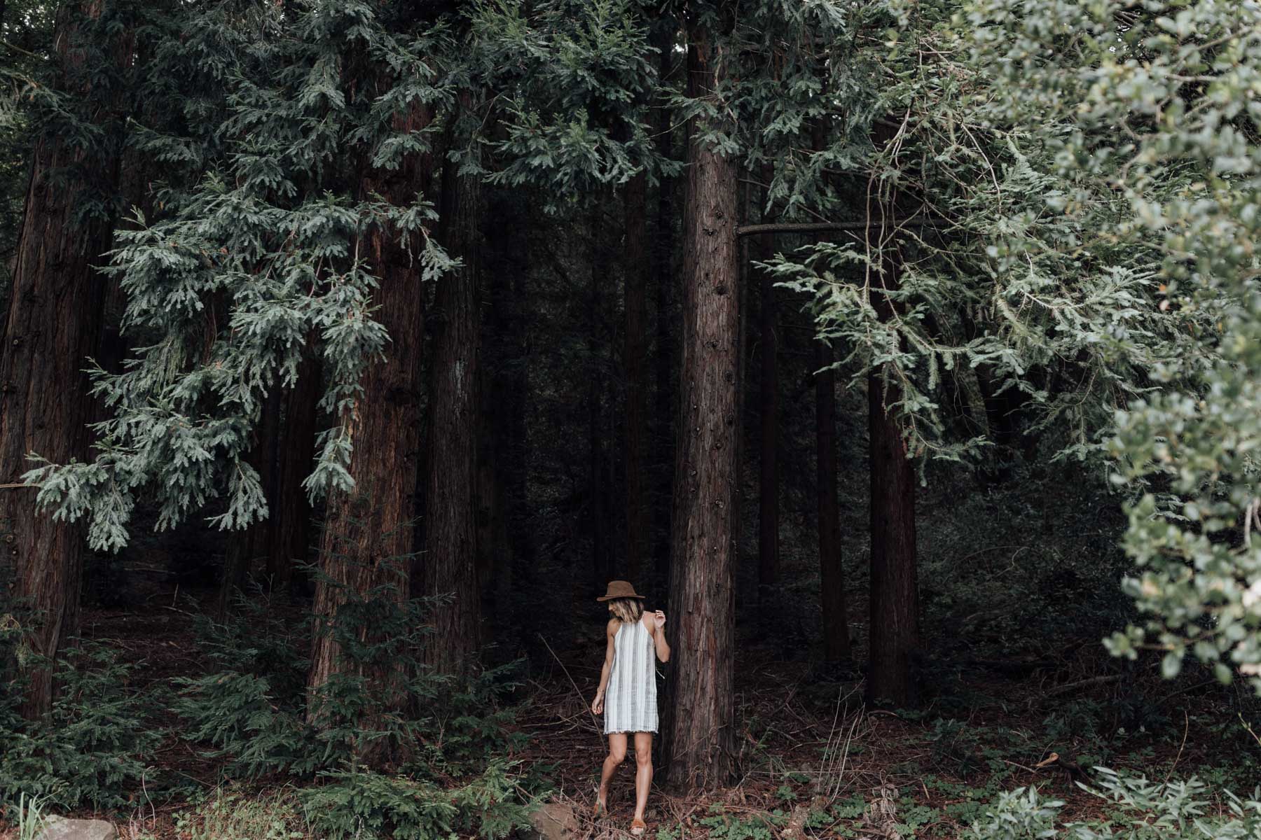 anthropologie spring dress