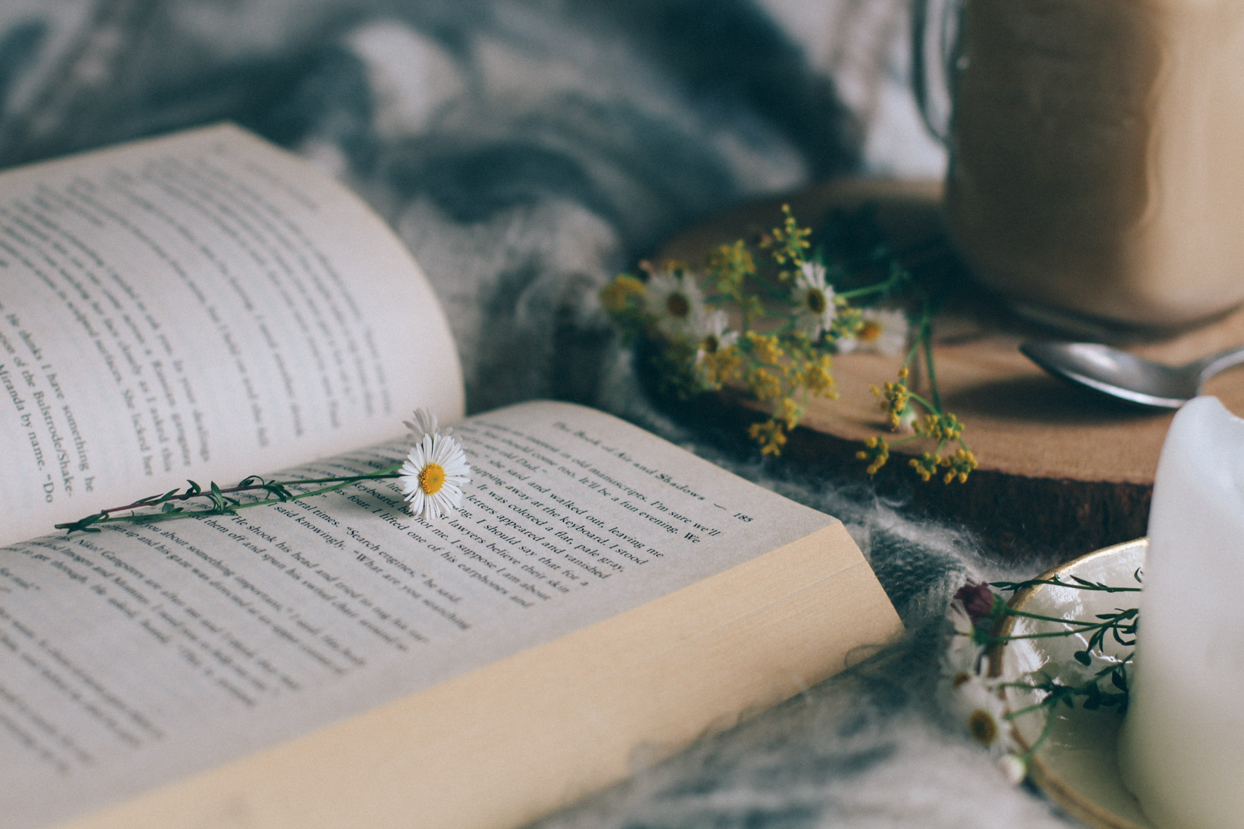 cozy book in bed