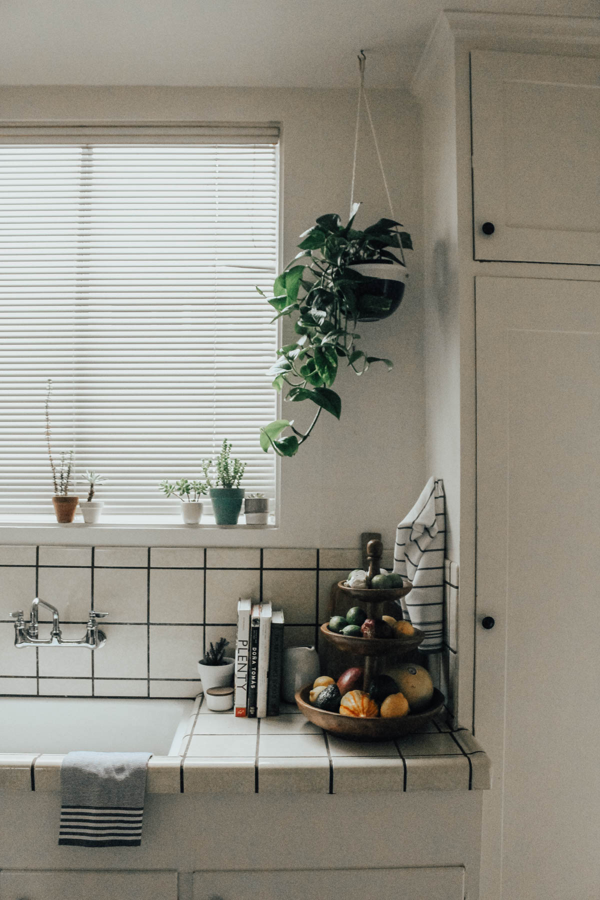 where to put plants in small apartment