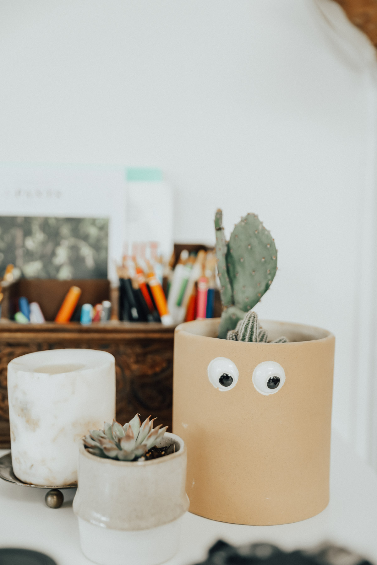 light bright boho desk decor plants and succulents