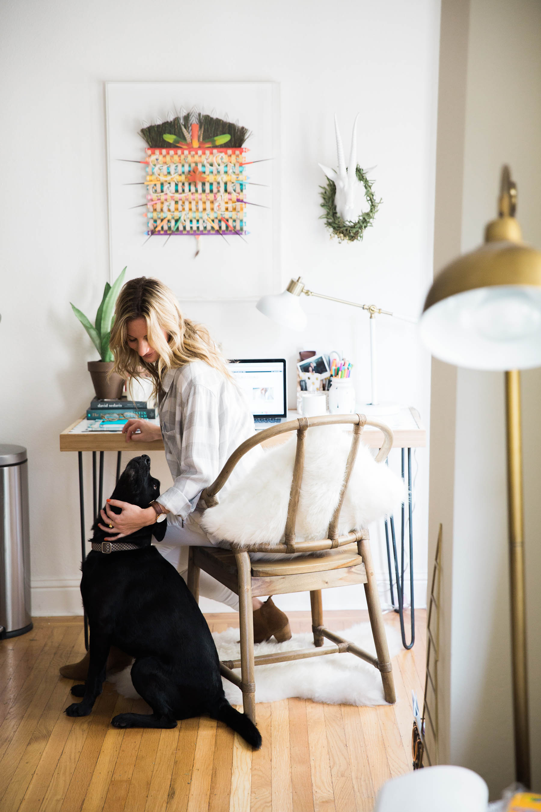 Clean Apartment Tips for Pet Owners